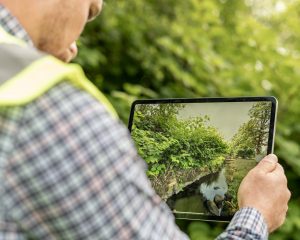 Male wearing a checked shirt and yellow high-vis jacket inspecting a weeded area using an iPad camera
