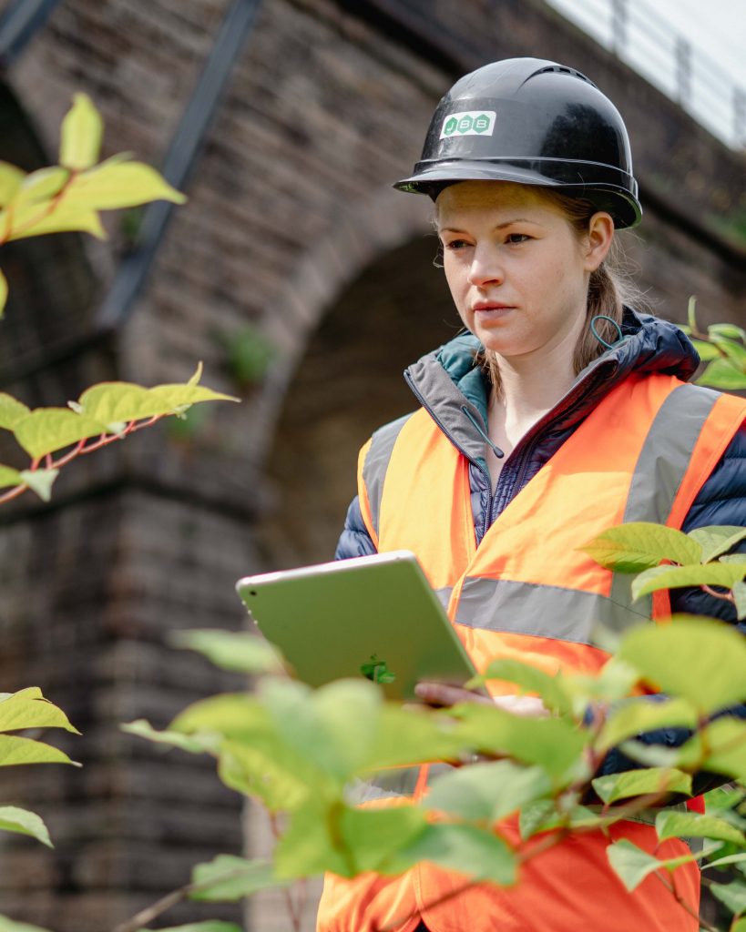 Japanese Knotweed Survey Livingston