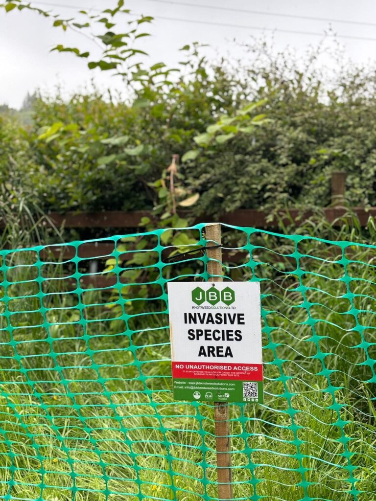 Outdoor site area under the care of JBB Knotweed Solutions during Japanese Knotweed management works with signage to advise members of the public.