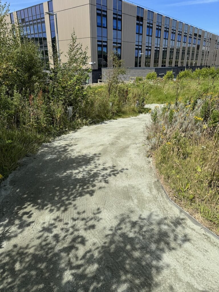 Freshly reinstated commercial pathway with new surface after weed clearance and repair works.